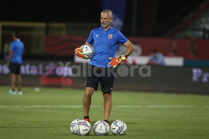 ميشيل يانكون